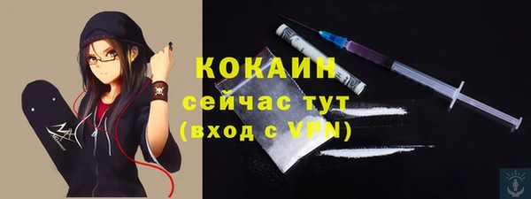 a pvp Дмитриев