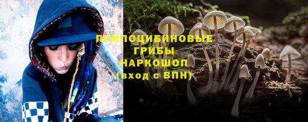 a pvp Дмитриев